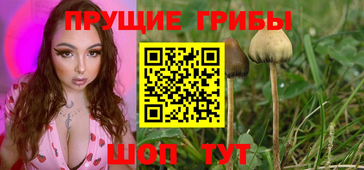 Псилоцибиновые грибы MAGIC MUSHROOMS  Псилоцибиновые грибы Psilocybe  Вход с VPN  Донецк 